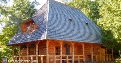 Arhitectura traditionala maramureseana