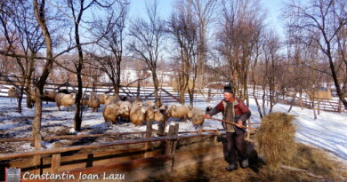 Oieritul traditional in Maramures
