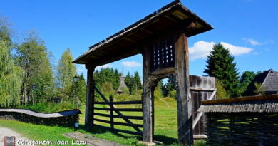 Poarta maramureseana