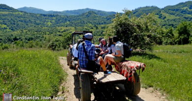 Descopera Maramuresul Istoric