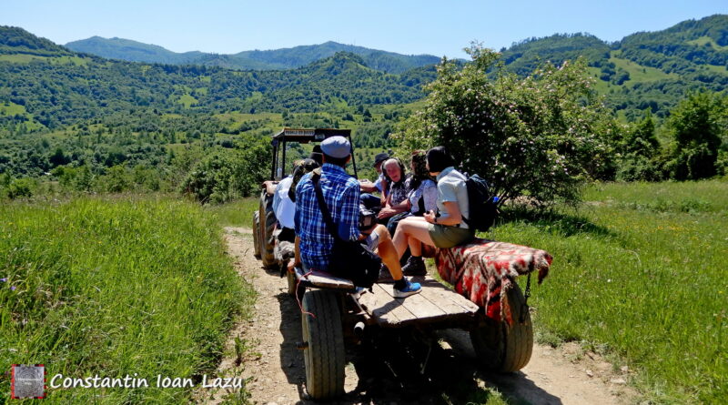Descopera Maramuresul Istoric