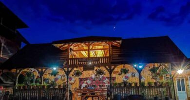 Seri de poveste la pensiunea Potcovaru